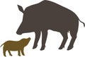 Silhouettes of European wild boar Sus scrofa with piglet